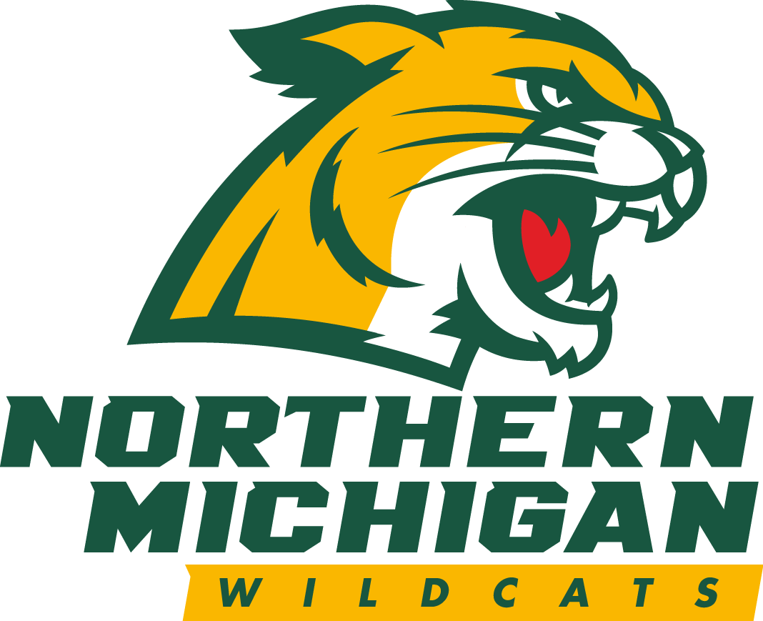 Northern Michigan Wildcats 2016-Pres Primary Logo iron on transfers for T-shirts